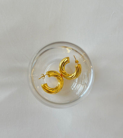 Hoop Earrings