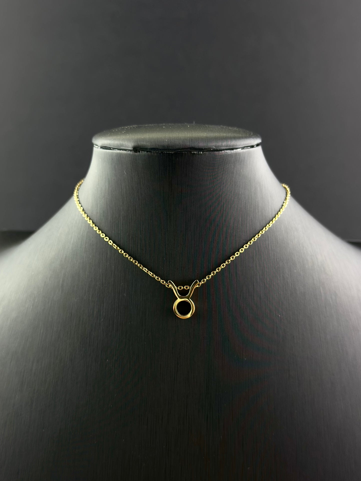 Zodiac Signs Necklace