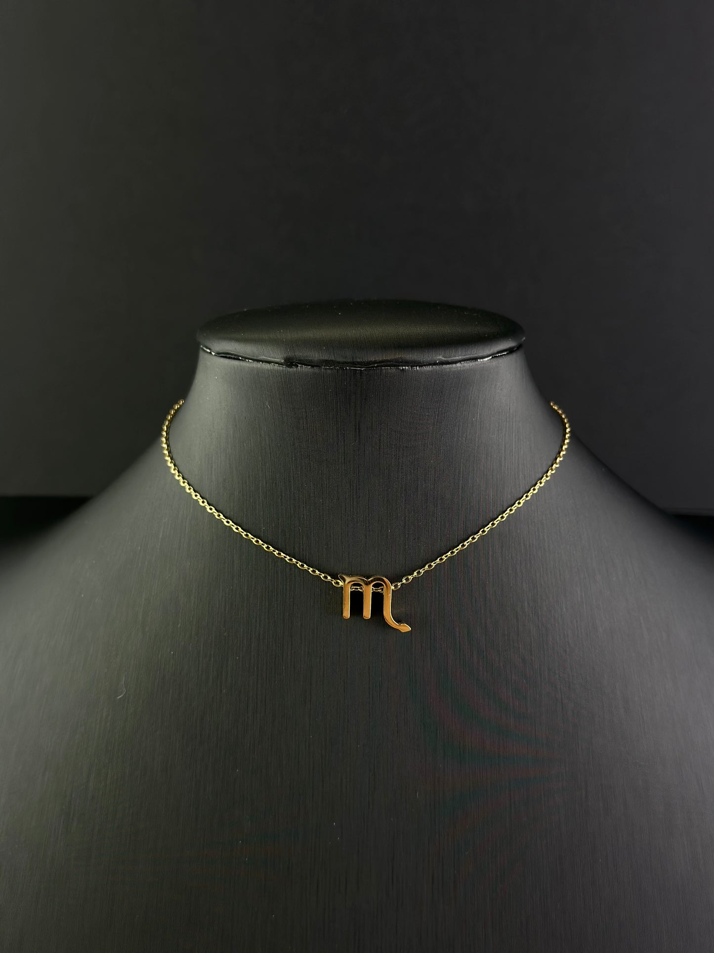 Zodiac Signs Necklace