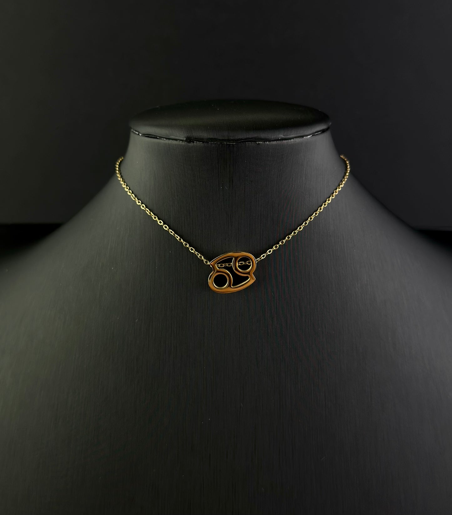 Zodiac Signs Necklace